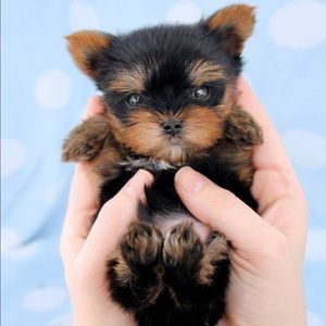 Meet your Posher, Jeanne